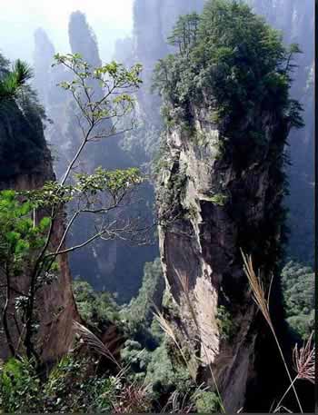 長沙出發(fā)到張家界溶洞奇觀黃龍洞、國家森林公園、袁家界、峰林之王天子山三日游（早班）