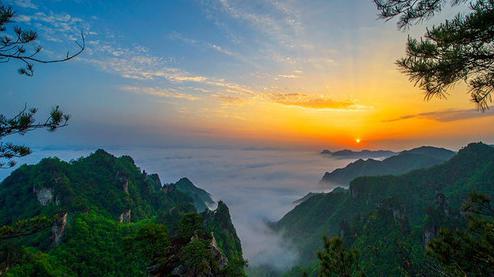 張家界森林公園（金鞭溪、袁家界、楊家界、天子山、十里畫廊）住山上2天1游（可看日出）